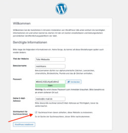 wordpress-installieren-informationen-eintragen